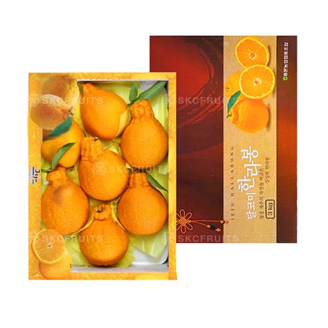 Jeju Hallabong Orange Skcfruits