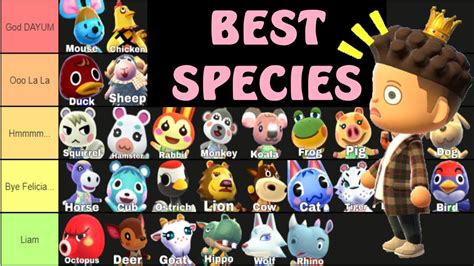 Best Villager Species In Animal Crossing New Horizons Species Tier