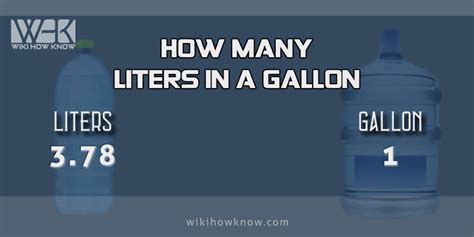 300 Liters To Gallons Asking List