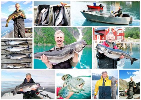 Collage Of Fisherman Holding A Big Fresh Fish Stock Photo By ©oksanka2