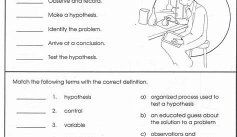 scientific method examples worksheets
