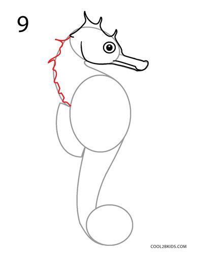 How To Draw A Seahorse Step By Step Pictures Cool2bkids Drawings
