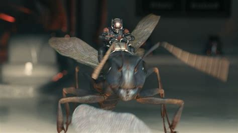 40 Stunning New Ant Man Stills Showcase His Greatest Allies