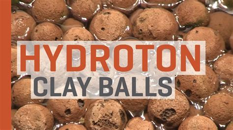 Cheap plant food, buy quality home & garden directly from china suppliers:expanded clay grow media pottery carbon ball 100g hydroponics soilless planting garden suppliers nutrient soil enjoy. Hydroponics with Hydroton Expanded Clay Balls - YouTube