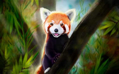 Ultra Hd Red Panda Wallpaper 1000 Amazing Red Panda Photos Pexels