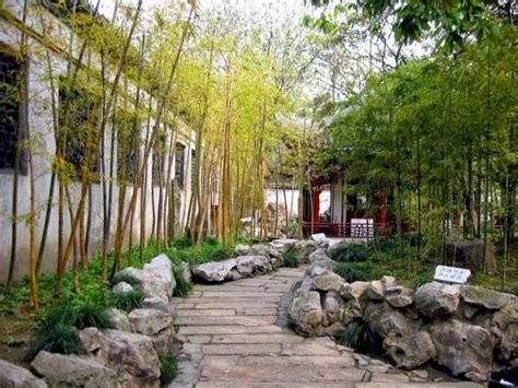 Bamboo In The Garden A Fascinating And Versatile Plant Houzz Home