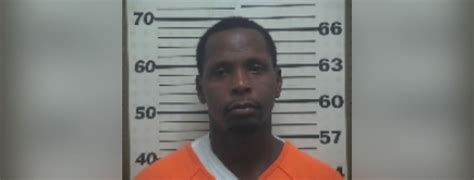 Mississippi Man Arrested On 18 Counts Of Theft Following Vehicle Break