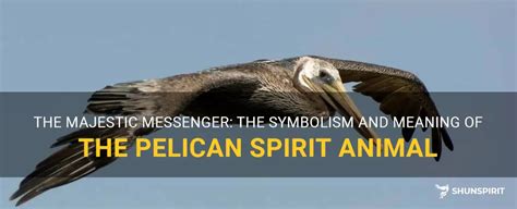 The Majestic Messenger The Symbolism And Meaning Of The Pelican Spirit