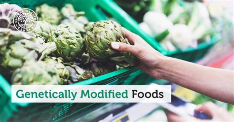 Genetically Modified Foods Why You Should Avoid Them