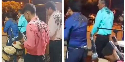 Video Plaga De Insectos Invade A Integrantes De Una Banda Musical