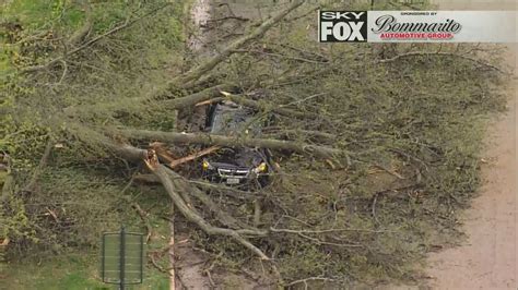 Large Tree Falls On Car In Forest Park One Person Seriously Injured
