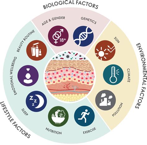Figure 1 From The Skin Interactome A Holistic “genome Microbiome