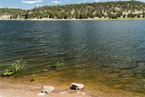 Greetings From Quemado Lake New Mexico Stock Photo Image Of Scenic
