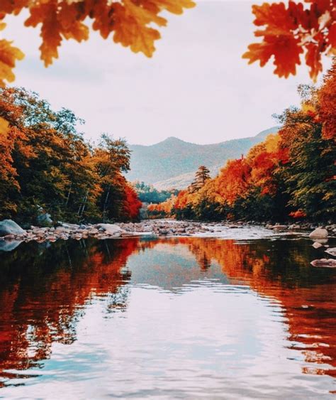 Vsco Sweetlifeee Fall Pictures Pretty Pictures Beautiful Landscapes