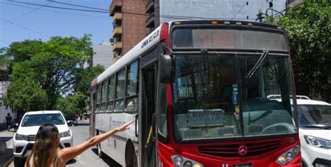 Paro De Colectivos Trabajo Dict Conciliaci N Obligatoria Y Se Levanta