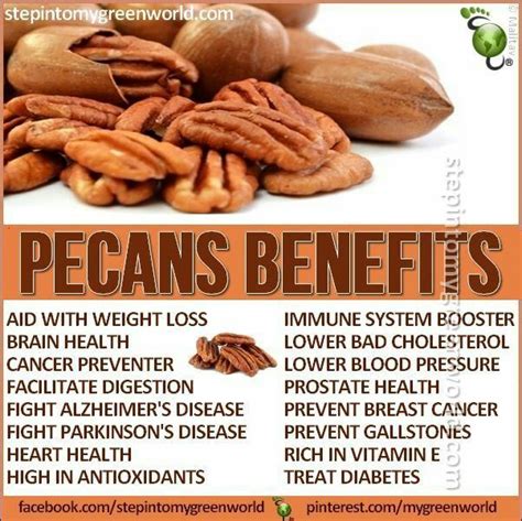 See below, the pecan nuts calories for the different serving sizes. How Many Calories In Handful Of Pecans : Pecan Health ...