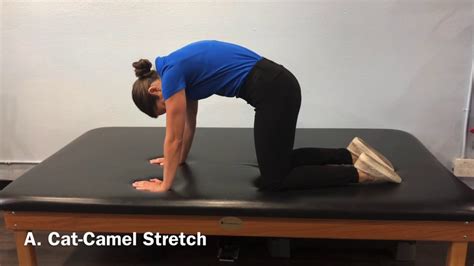 To relieve back discomfort*, try these five exercises 2 times per day. 8. Cat - Camel Stretch - YouTube