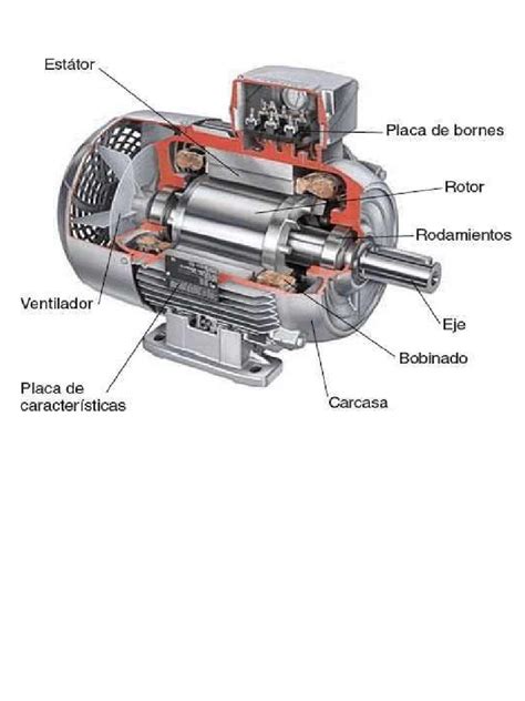 Partes Motor Trifasico