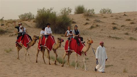 Getting on the camel is the hardest part of riding. If The Only Animal You Ride Is A Horse, You Are Seriously ...