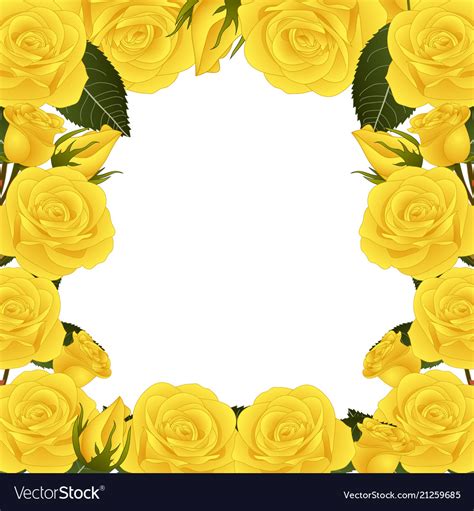 Yellow Rose Flower Border Royalty Free Vector Image