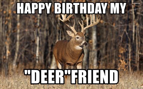 How do you wish friend birthday wishes? HAPPY BIRTHDAY MY "DEER"FRIEND - WHITETAIL BUCK | Meme ...