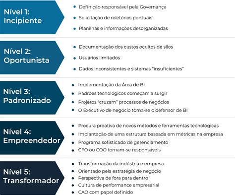 Maturidade Em Analytics Em Qual N Vel Sua Empresa Se Encontra