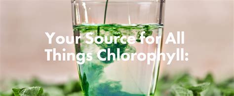 Top 15 Benefits Of Chlorophyll According To Published Reports — Chlorophyll Water