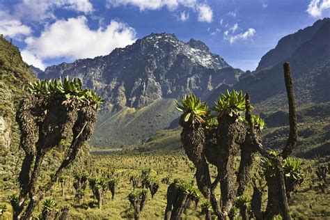 Rwenzori Mountains National Park Uganda Hiking Tours