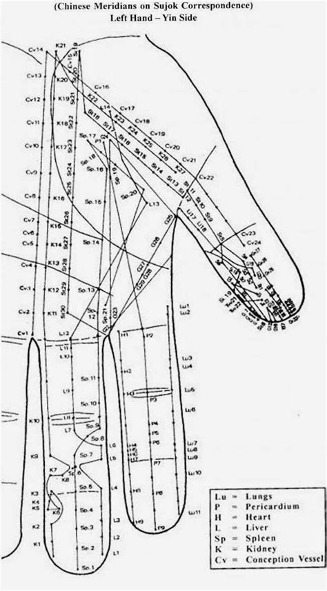 Disease To Ease Byol Meridian Left Hand Yin Side Acupressure Chart