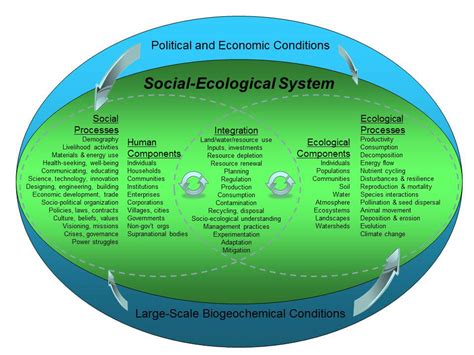 Social Ecological System The Babe Of Natural Resources And Environment University Of
