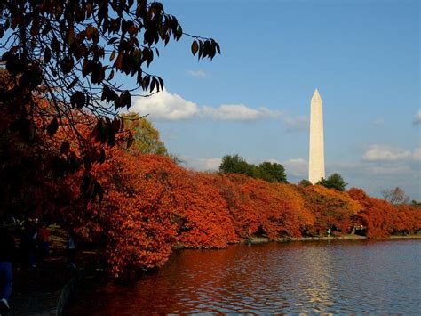 Dc Is Beautiful In The Fall There Are So Many Events To Go To