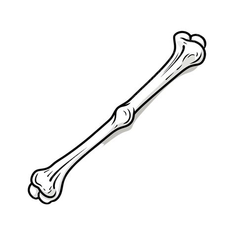 Doodle Bone Isolated Hand Drawn Outline Bone Clip Art Vector