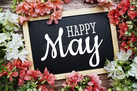 Happy May Typography Text Written On Wooden Blackboard With Flower