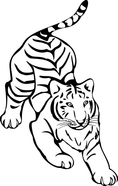 Tiger Png Clipart (22 Image) Download Vector