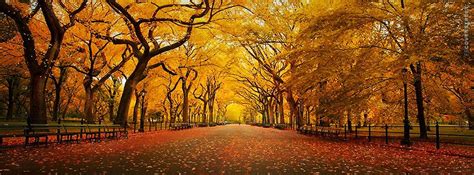Autumn Fb Covers Fall Leaves Facebook Covers Myfbcovers Ellis Pearce