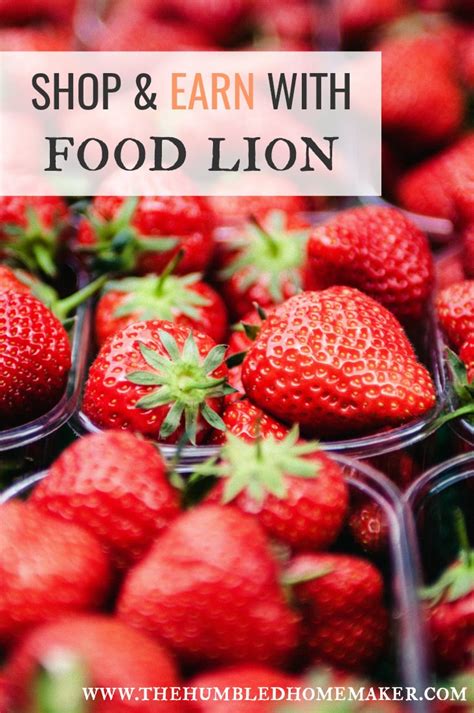With our mobile app, we put convenience in the palm of your hand! Shop & Earn with Food Lion