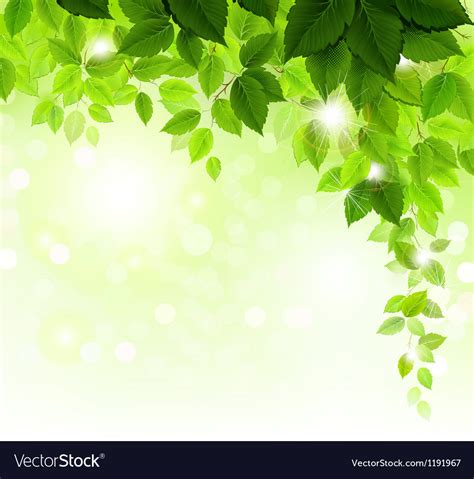 Green Leaves Royalty Free Vector Image Vectorstock