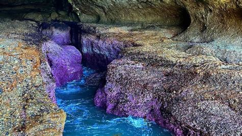 Six Cool Caves You Can Visit Near Sydney Ellaslist