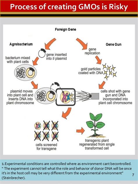 Gmos For Dummies