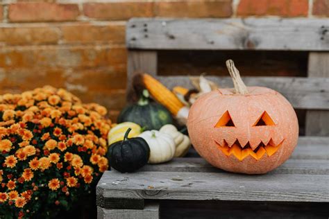 Eco Friendly Halloween Tips Decor Costumes Candy And More Brightly