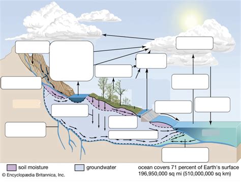 Ls Chapter 14 Hydrologic Cycle Diagram Quizlet