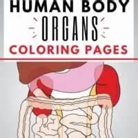 Free Printable Human Body Organs Coloring Pages