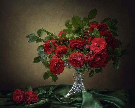 Still Life With Luxurious Red Garden Roses Stock Image Image Of