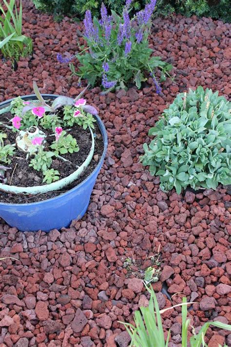 Not to mention, it also offers a huge amount of historical data and only. Mulch Alternatives: Adding Curb Appeal to Your Home - The ...