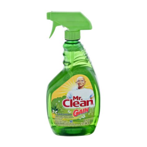 Mr Clean With Gain Spray 32 Oz Reviews 2020