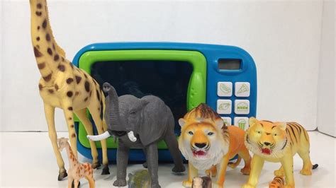 Magic Microwave Kitchen Toys 🎈 Kids Fun 👫 Learning Jungle Animals 🙉