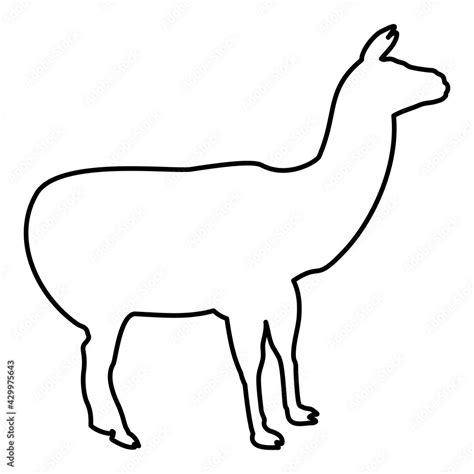 Alpaca Llama Lama Guanaco Contour Outline Black Color Vector