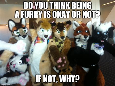 I Think Furries Are Ok And The Way Theyre Getting Harassed For It Is