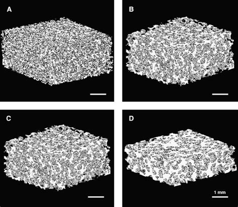 Three Dimensional Micro Ct Images Of Pclf Scaffolds Prepared With