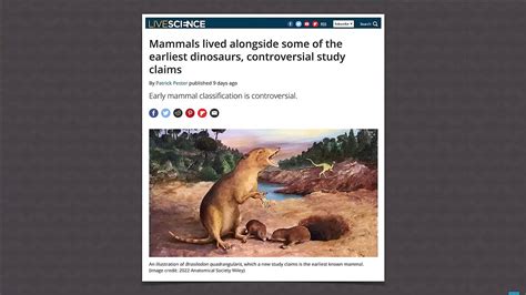 Did Mammals Live Alongside The Earliest Dinosaurs Answers In Genesis